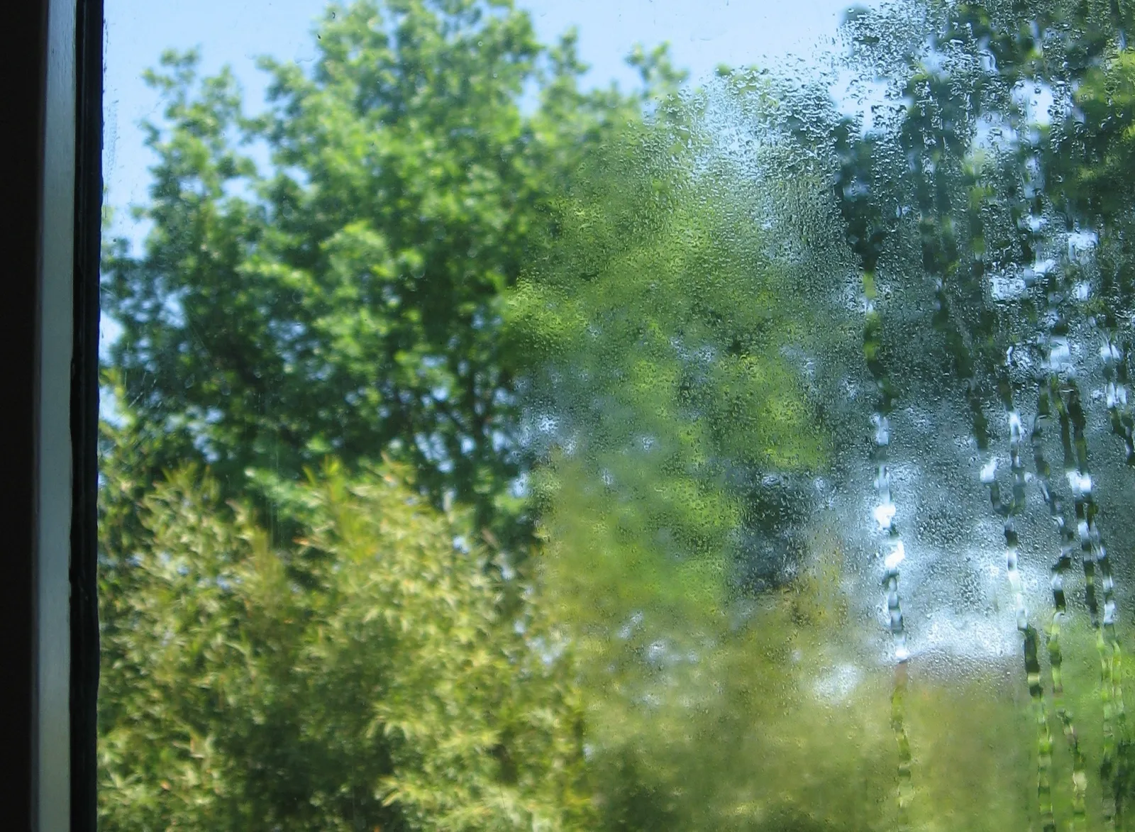 Buée entre les vitres du double vitrage : que faire ?