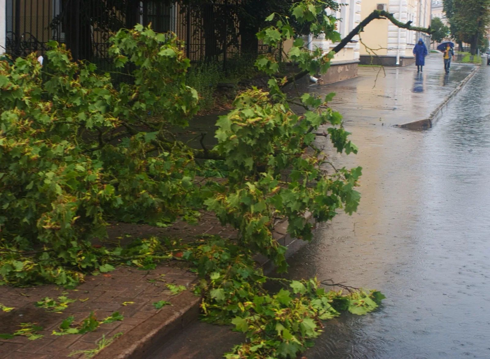 Tempête : protéger ses vitres, puis agir après un bris